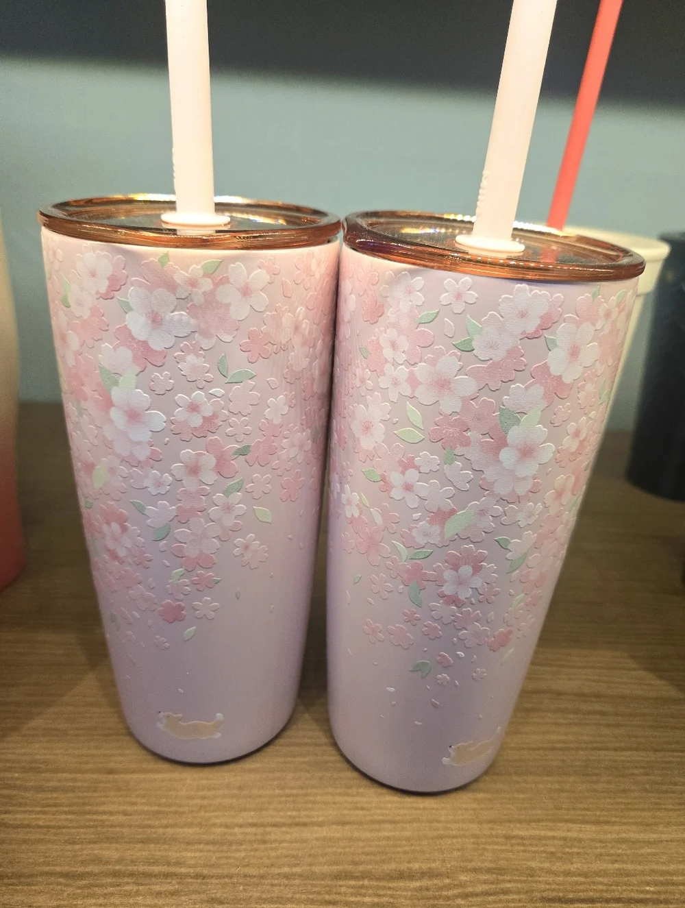Starbucks Limited Edition Corgi Sakura Cherry Blossom Stainless Steel Tumbler